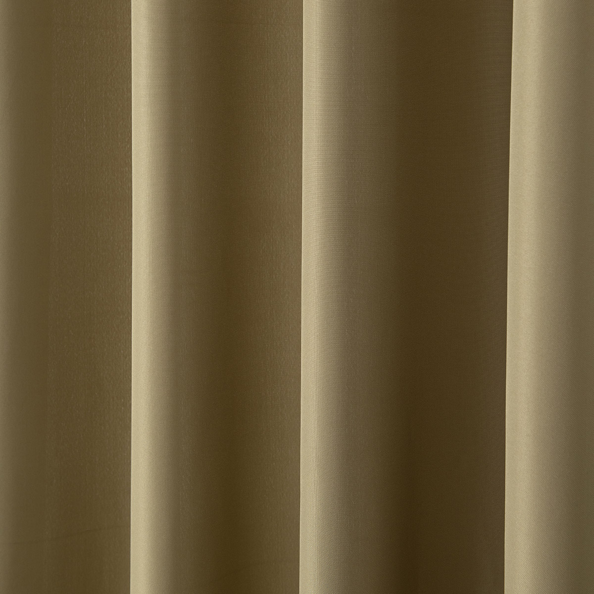 8443_olive_5